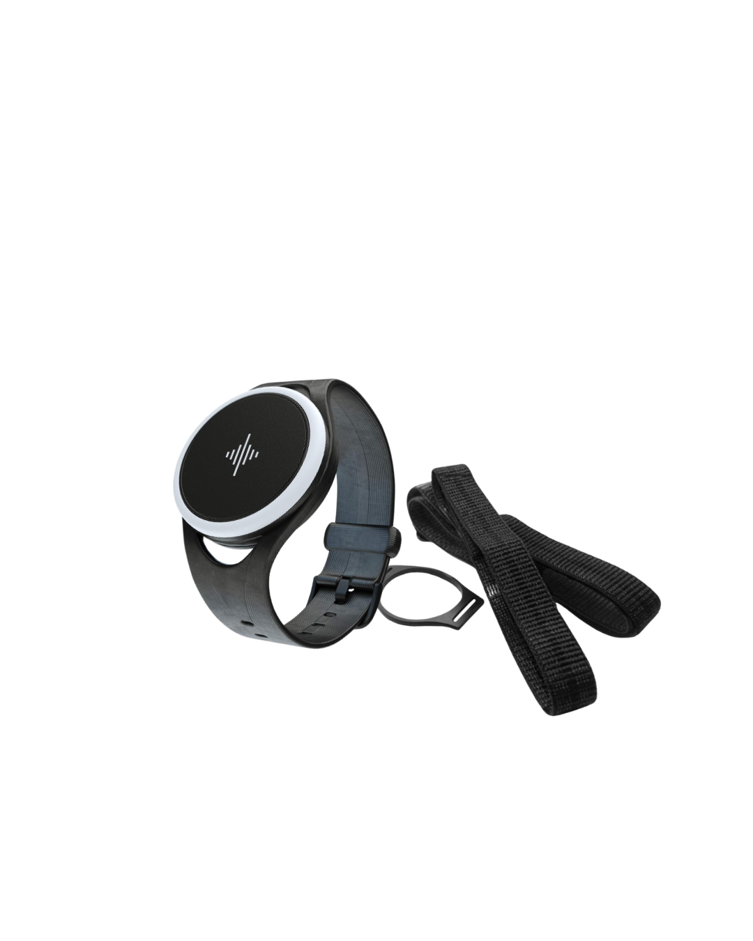 Pulse – T HONPO Pulse – T HONPO